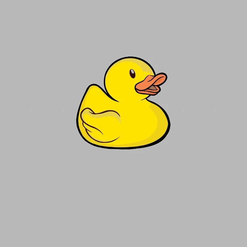 Programmeurs Canard Programmation Debugging Drôle