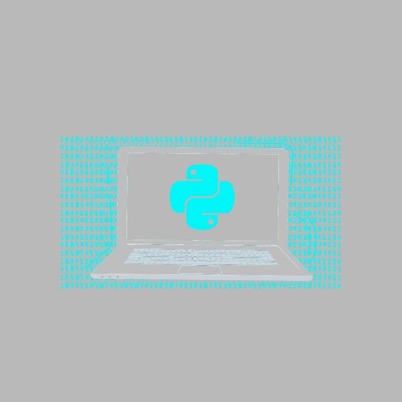 Coding Expert Coder Programming Programmer