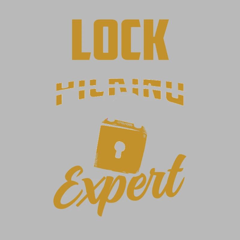 Lockpicking Expert Cracking Lock Lock Picking