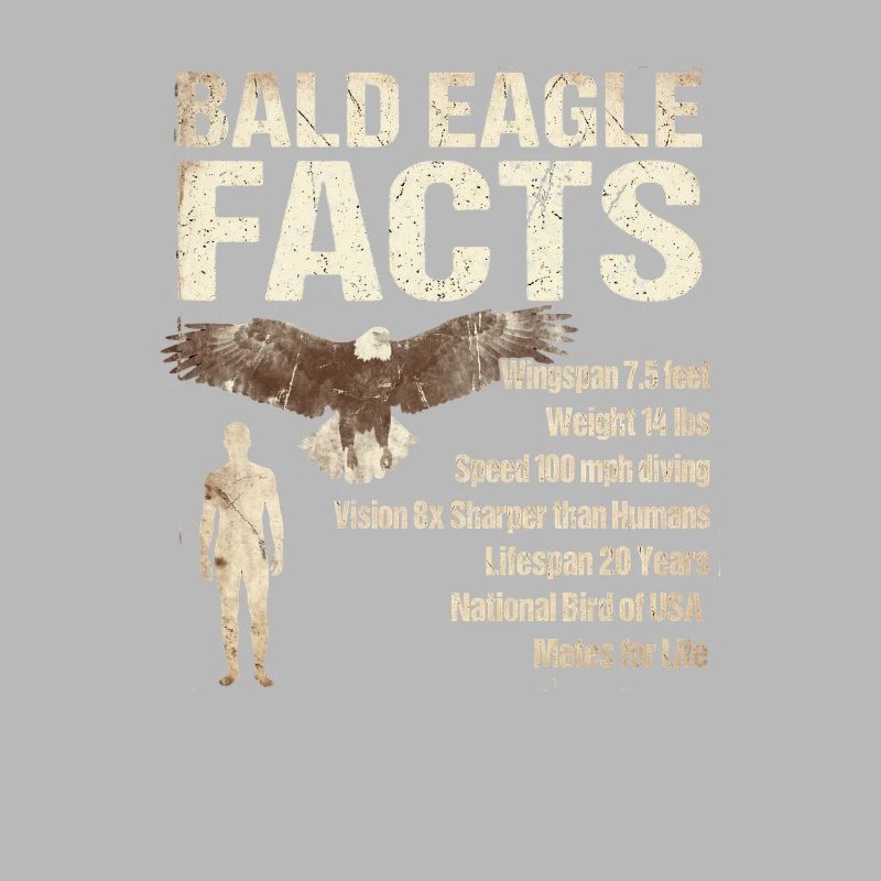 Bald Eagle Facts Bald Eagle Info