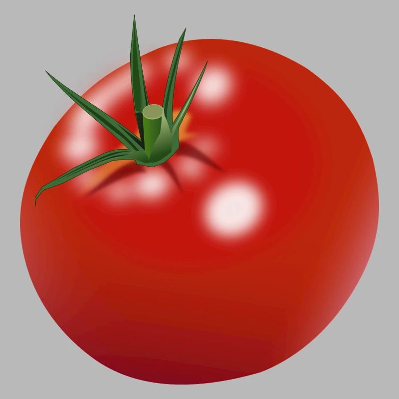 Red tomato