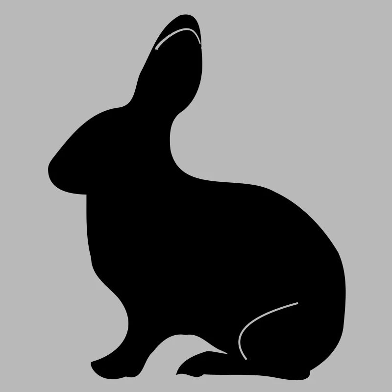Hase