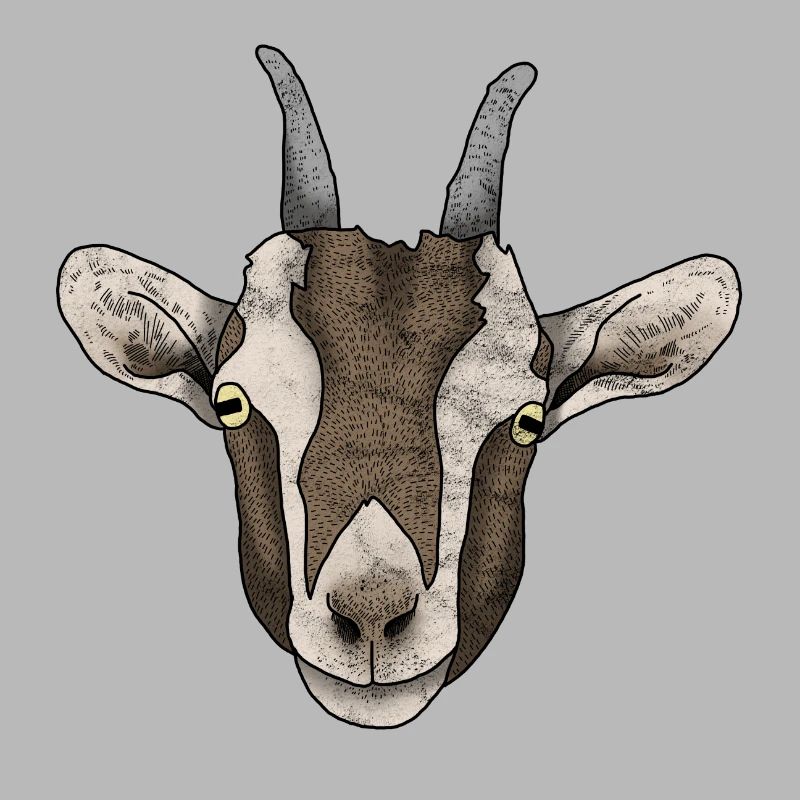 Ziegenkopf