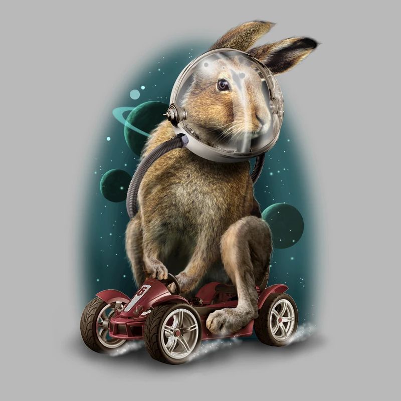 Rabbit race