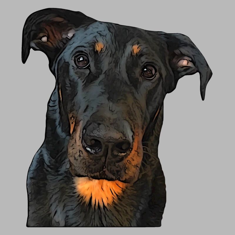 Blick auf den Beauceron