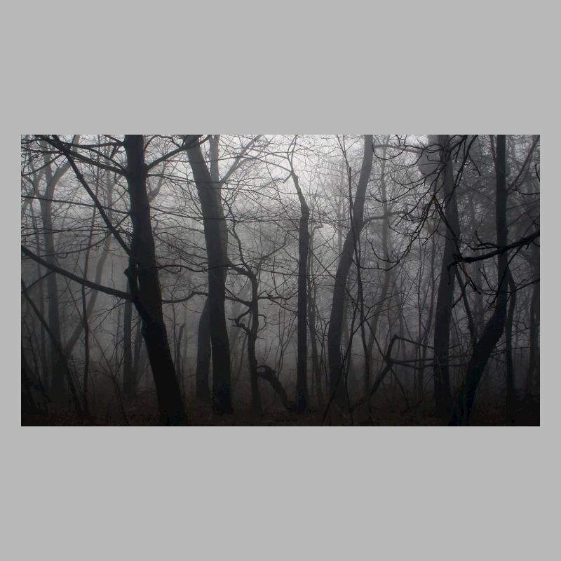 Forêt