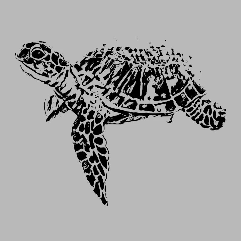 turtle