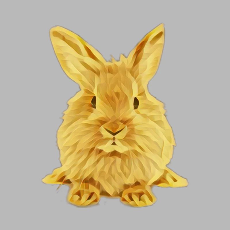 Hase