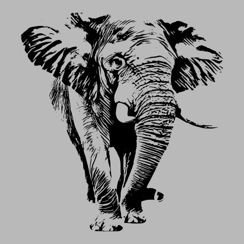 Éléphant