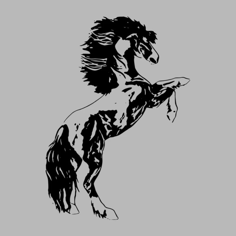 stallion