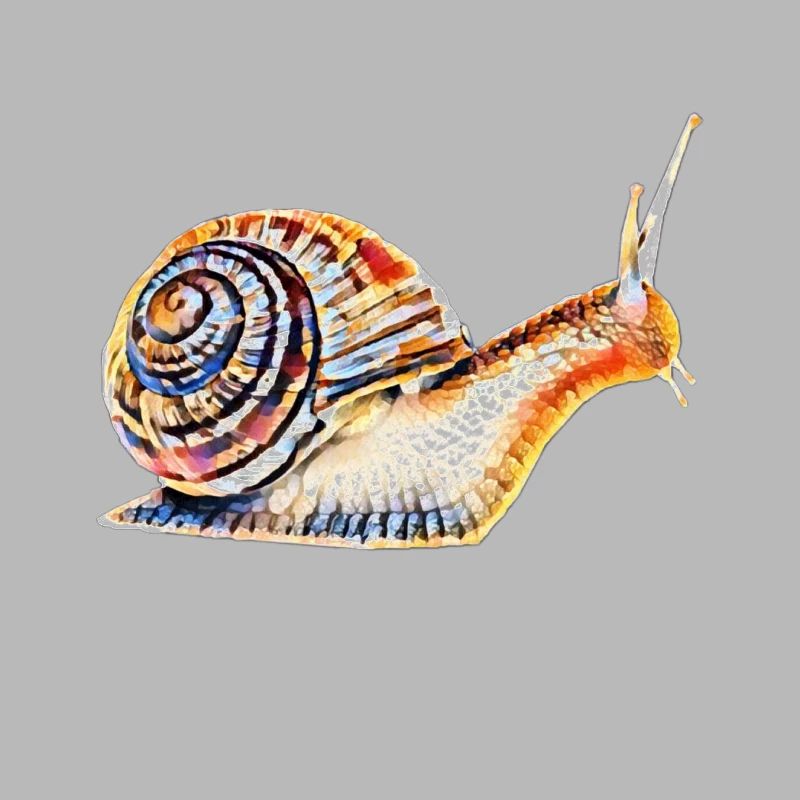 Escargot