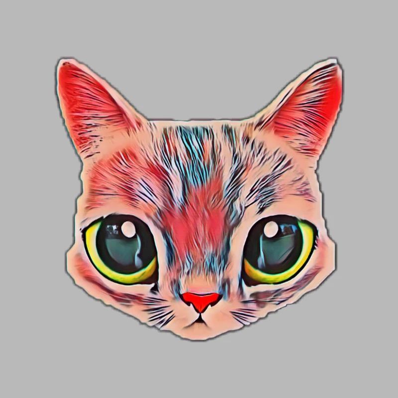 Chat