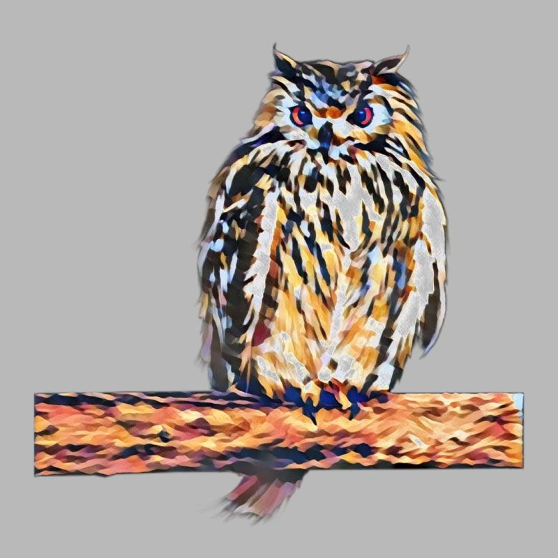 Eule