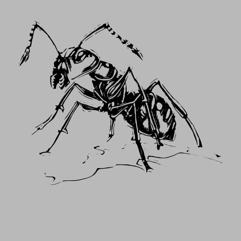 ant