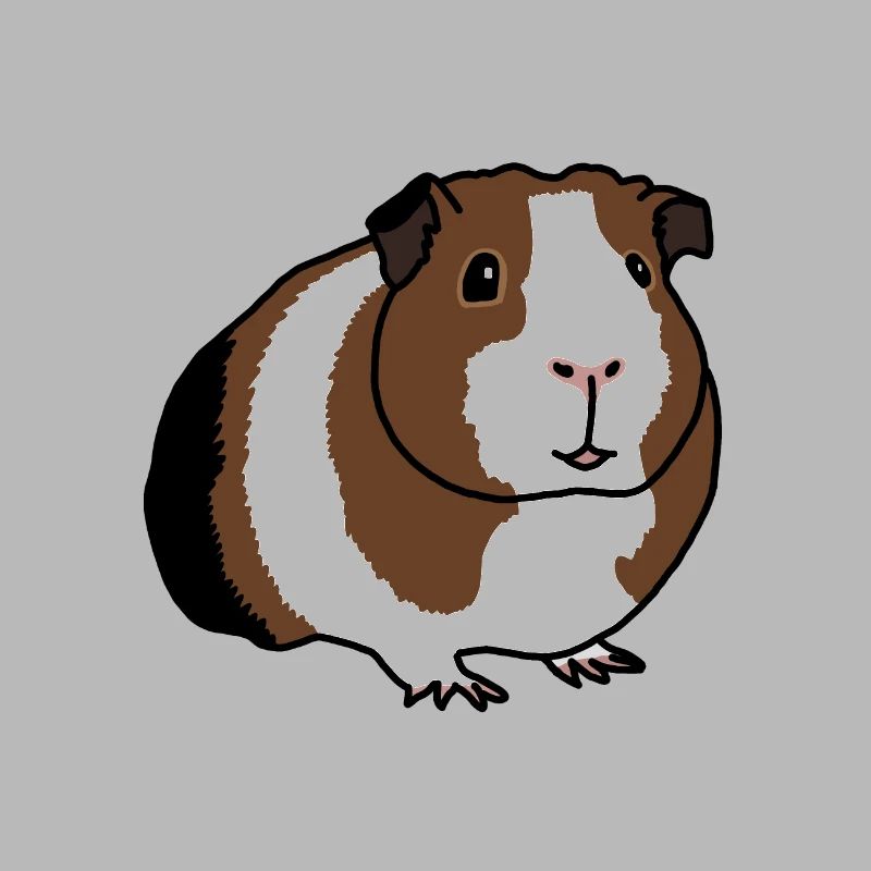 Cochon d'Inde, bande dessinée