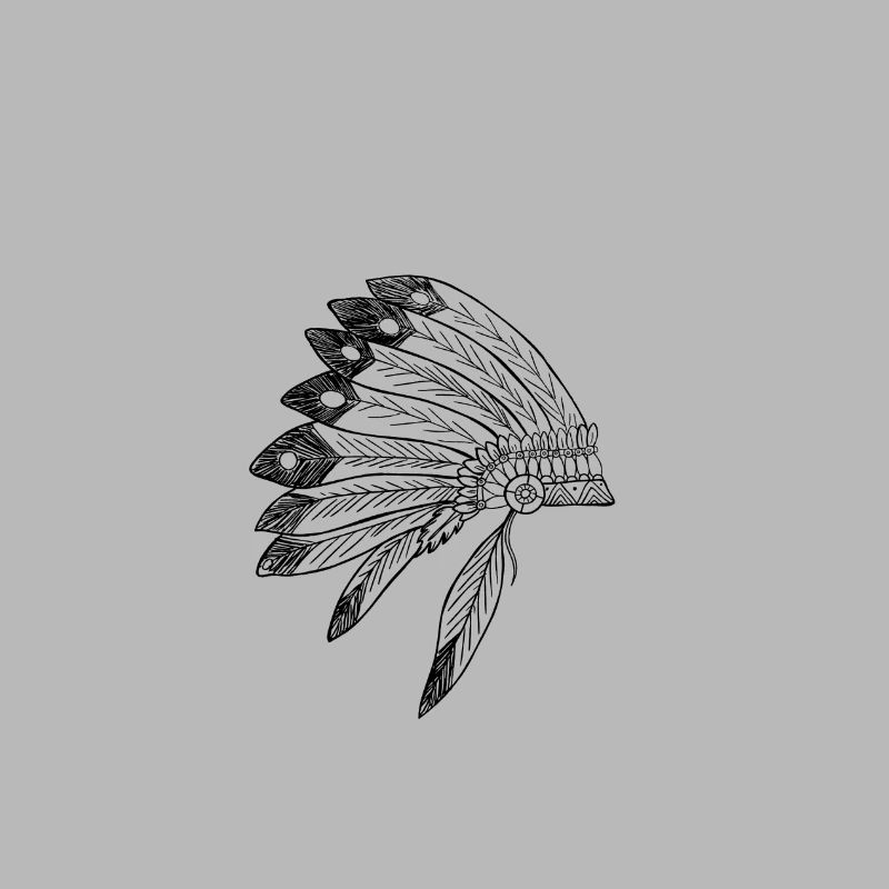 Native American flag gift