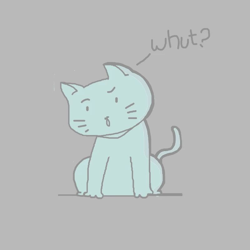 chat mignon