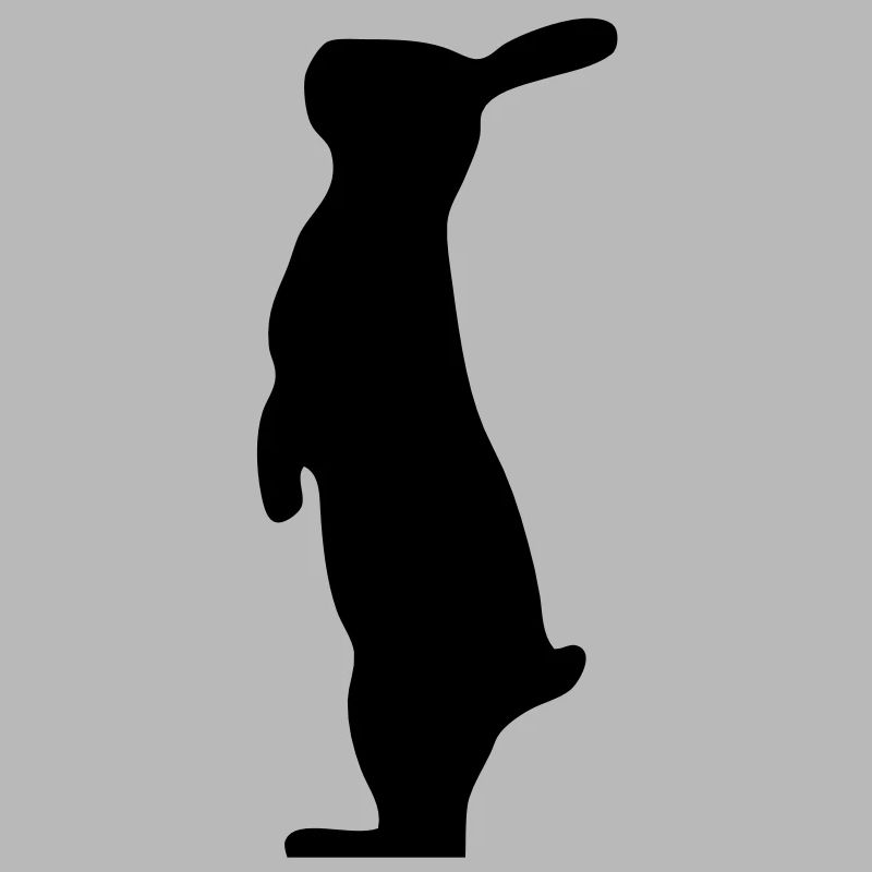 debout lapin bunny bunny lapin