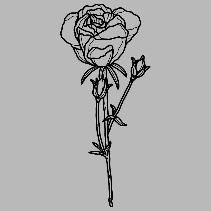Rose fleur