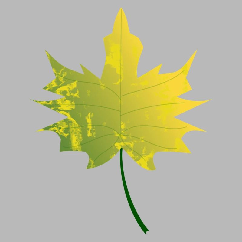 feuille