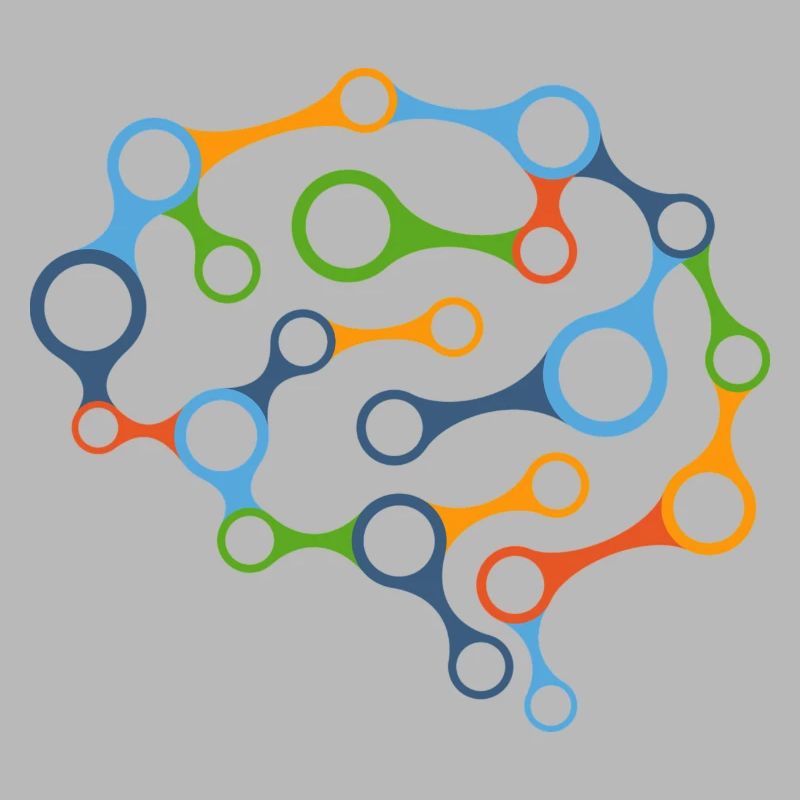Brain network
