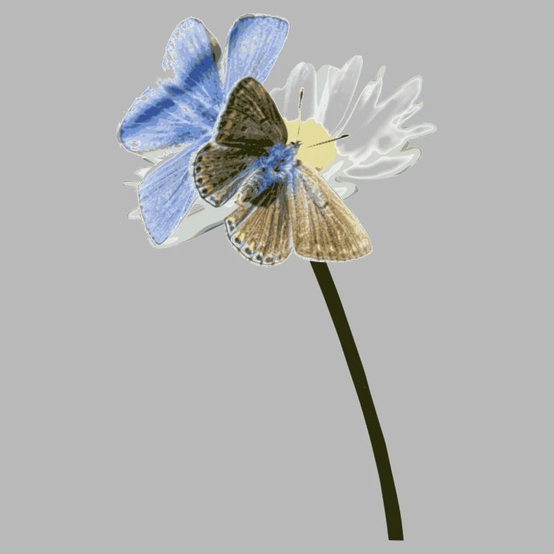 Zwei Bläuling Schmetterlinge auf einer Blüte