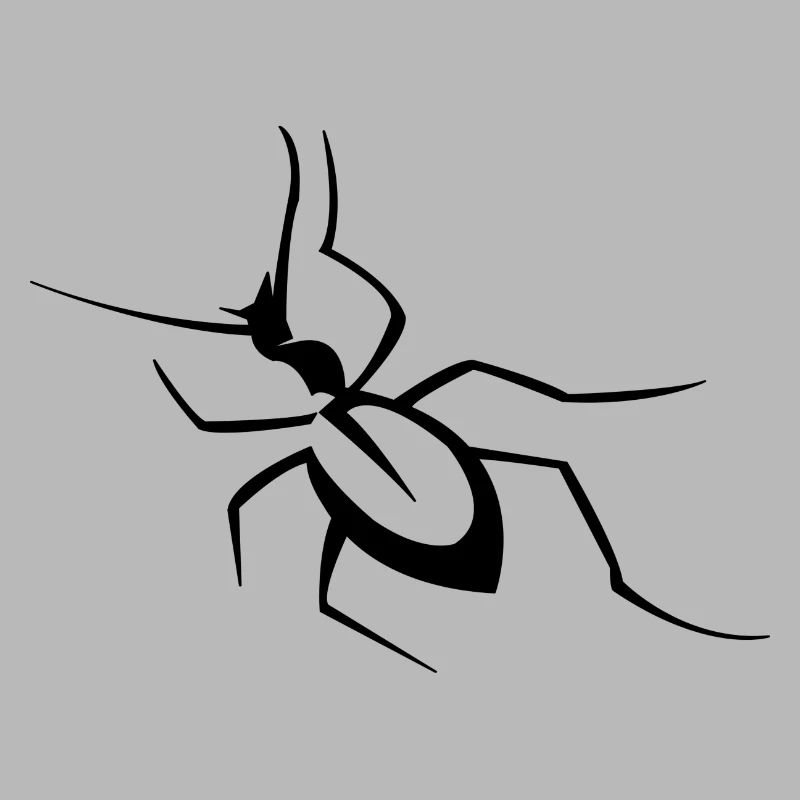 Insecte
