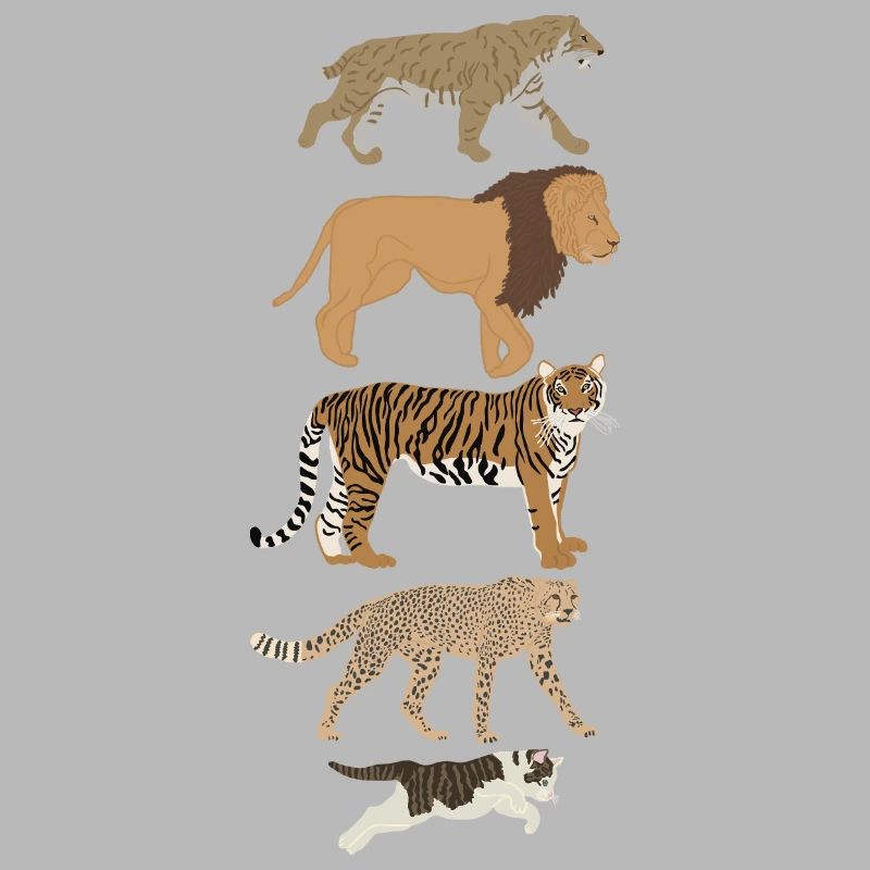 Evolution Chat Lion Guépard Vertical multicolore