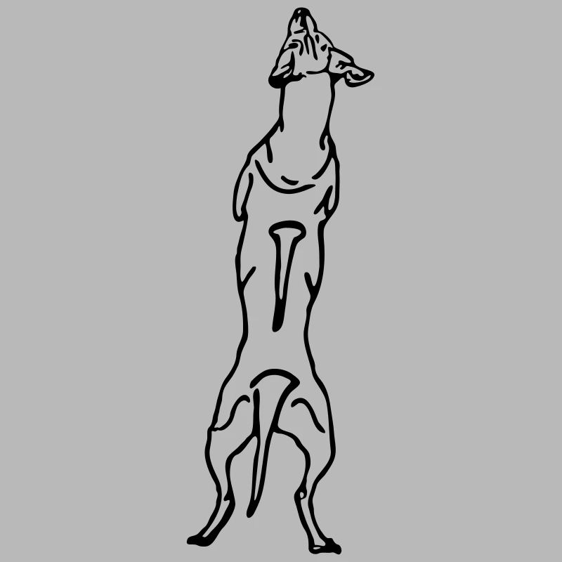 Ridgeback back
