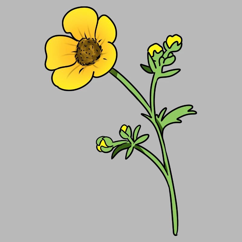 Fleur de beurre