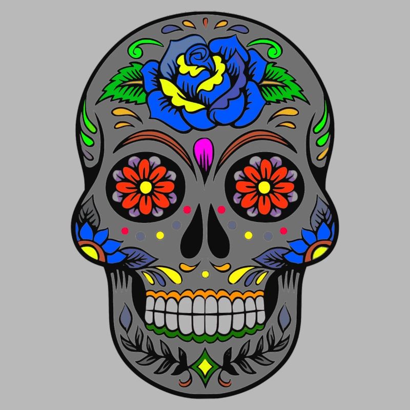 Skull