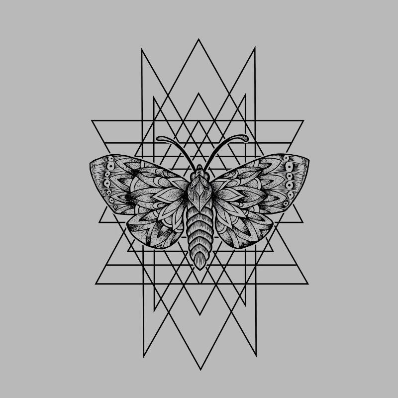 Moth geometry