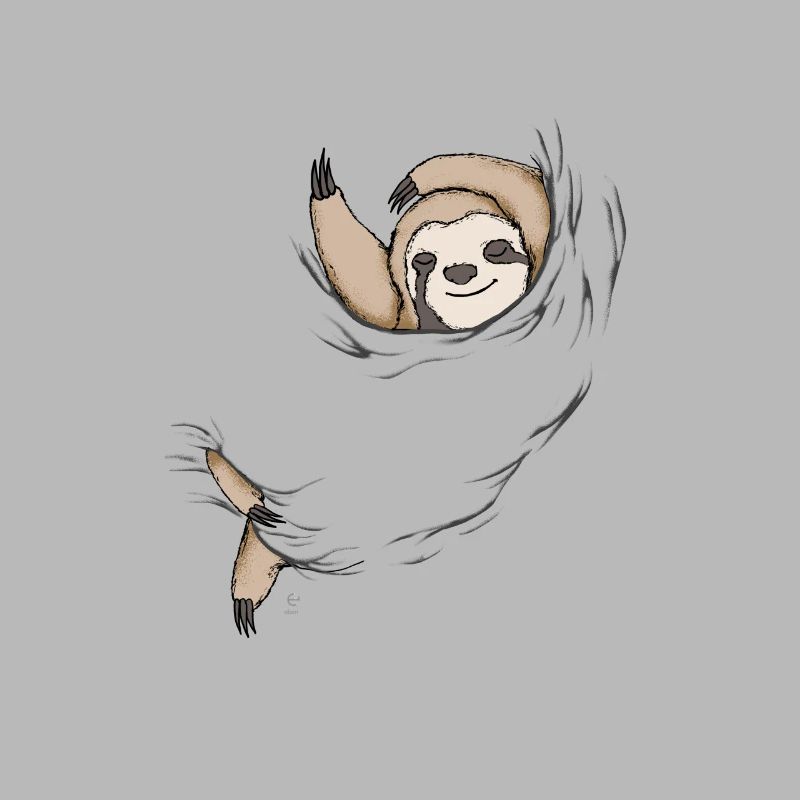 sleeping sloth gift