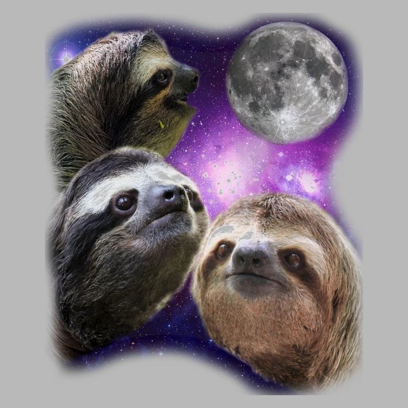 Three Sloths Howling At Moon Like Wolves