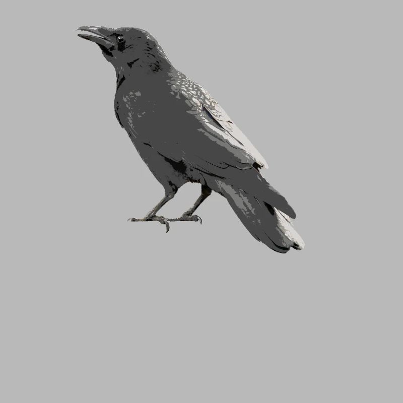 Crow