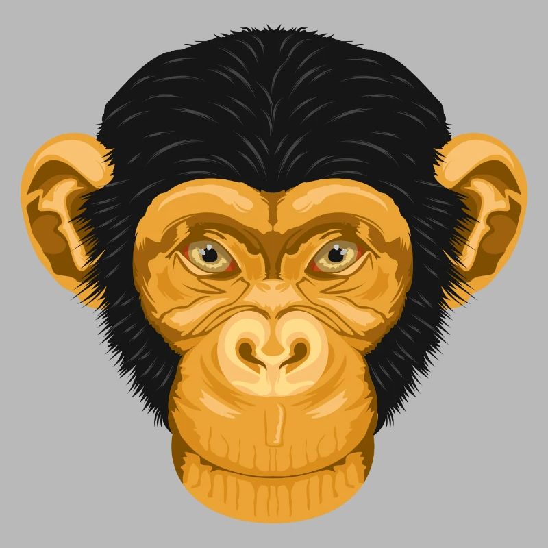 Affe Schimpanse Äffchen