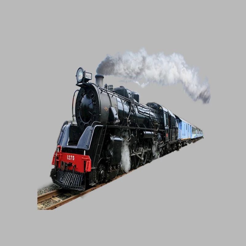 (Train)