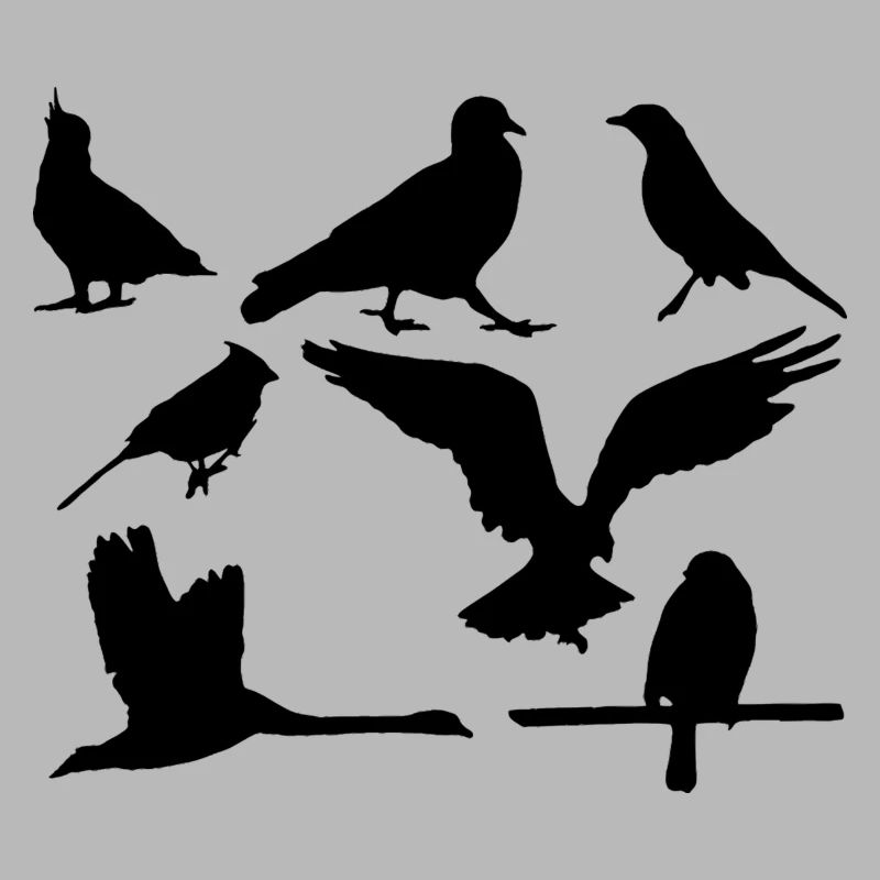 oiseaux