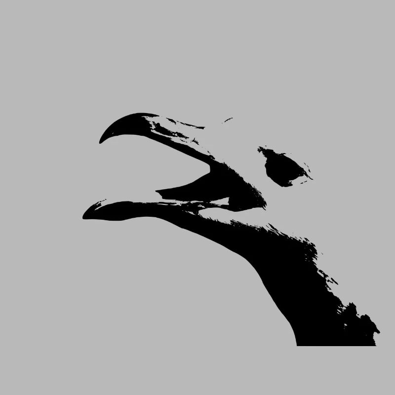 mouette