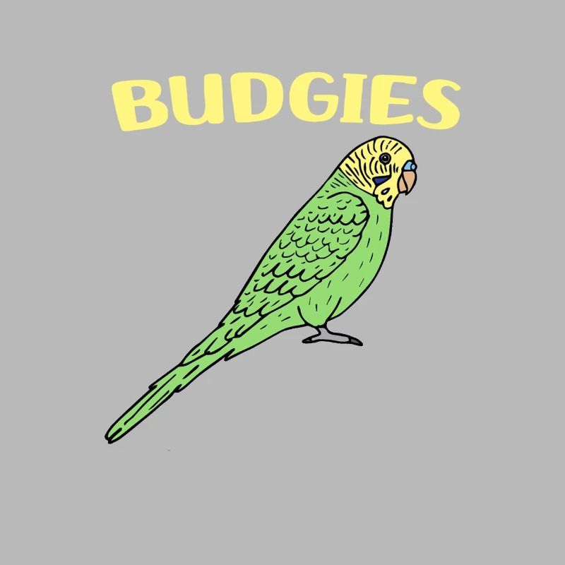 Oiseau Budgerigar
