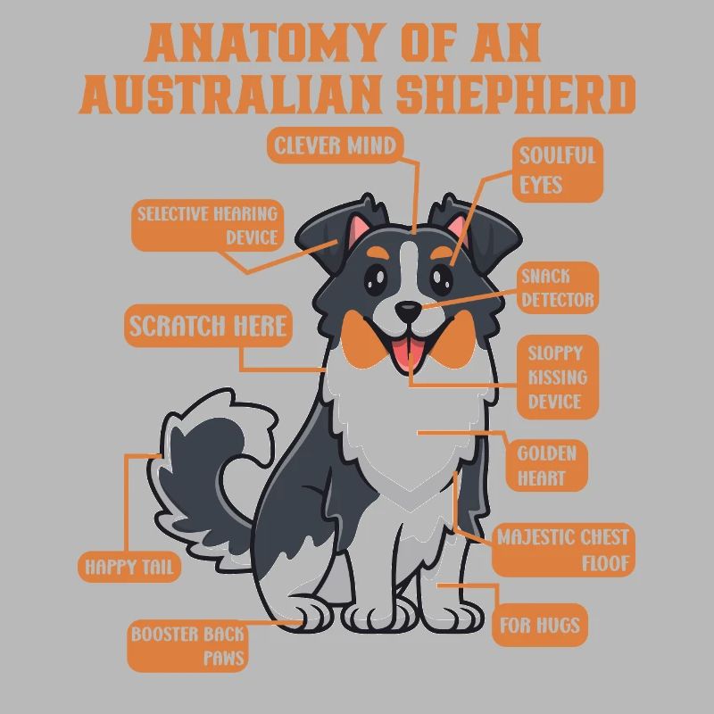 Australian Shepherd Aussie Dad Aussie Mom