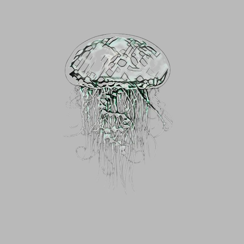 jellyfish