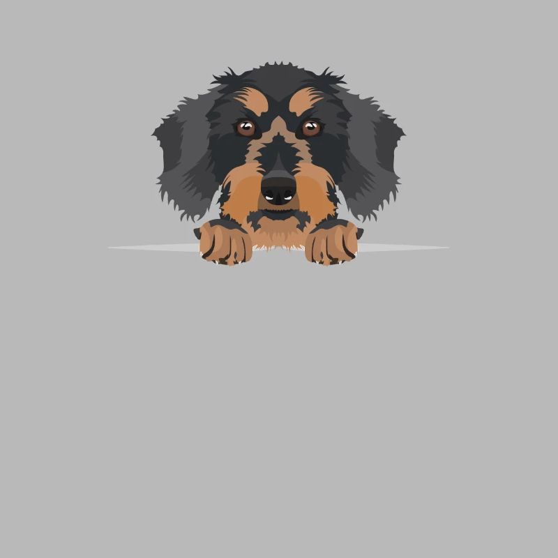 Smiling rough-haired dachshund