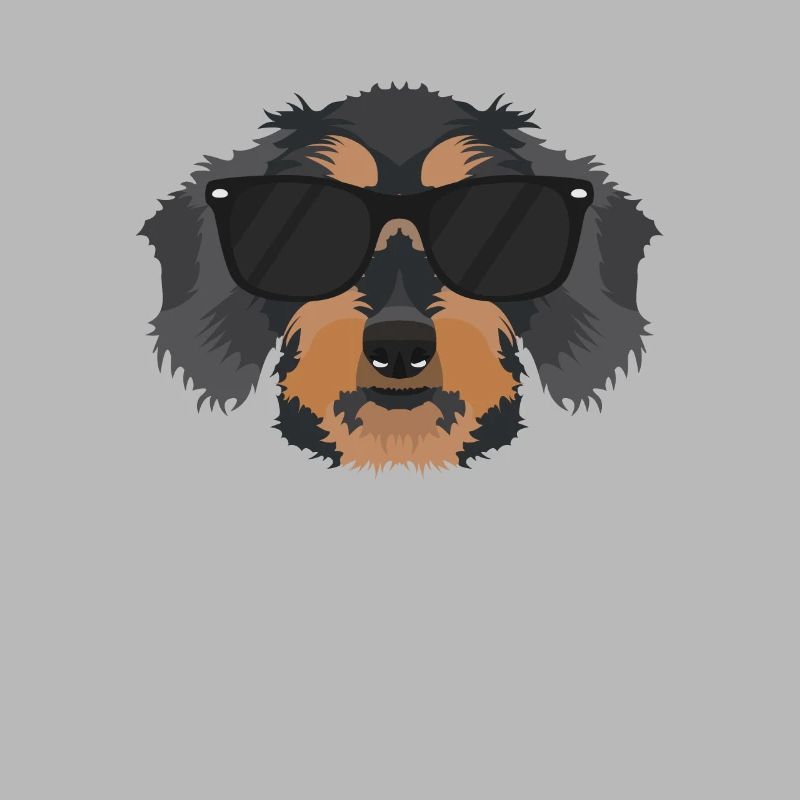 My rough-haired dachshund is the coolest