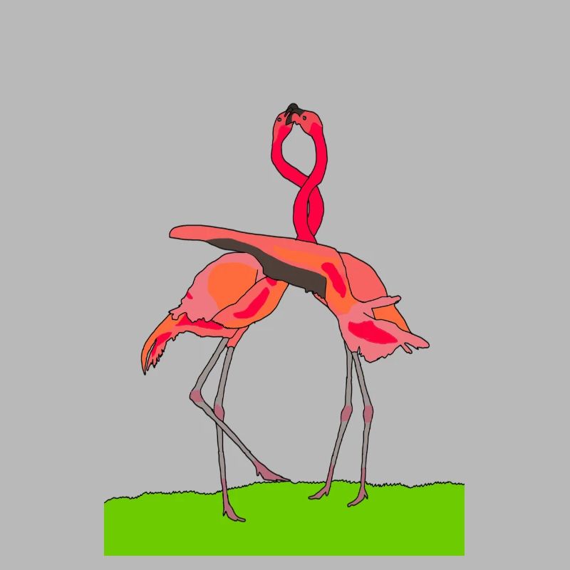 flamingos