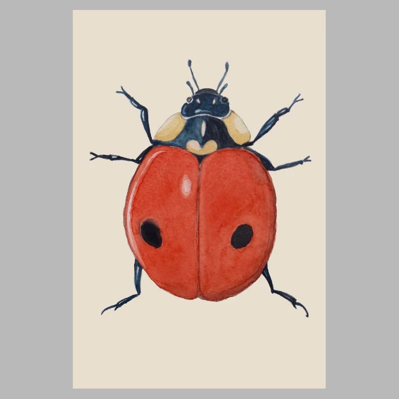 Affiche Ladybug 2