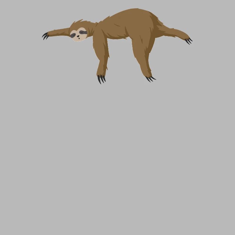 Math Sloth Pi