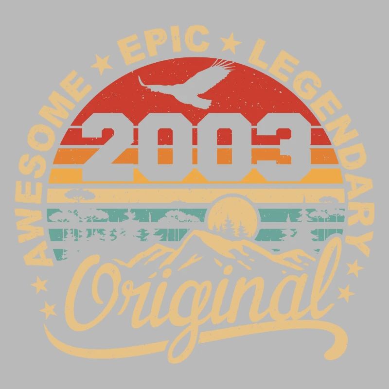 Original 2003 Retro 2003 Geburtstagsgeschenk 2003