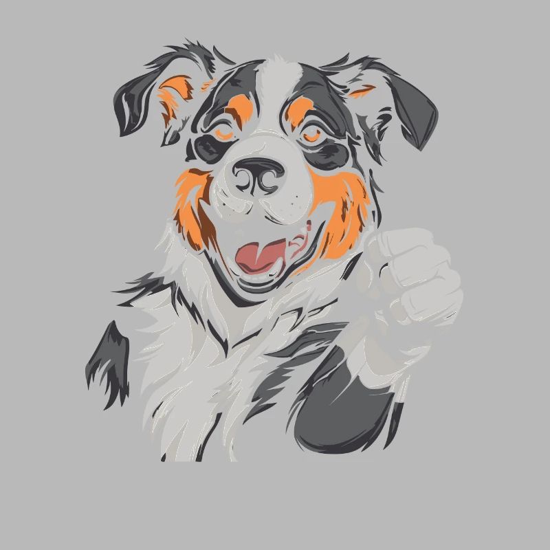 Border Collie Cool