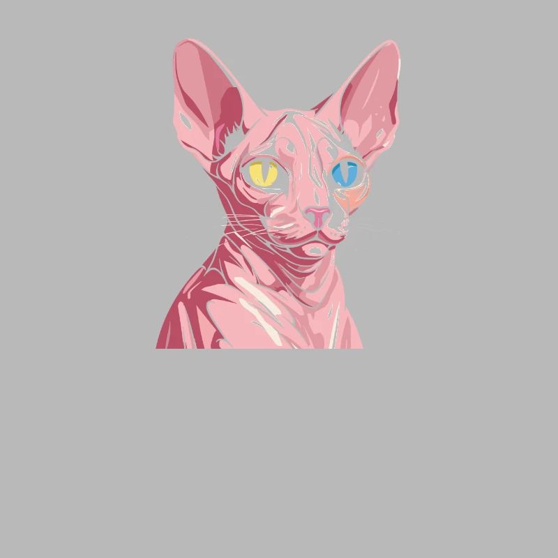 Chat Sphynx